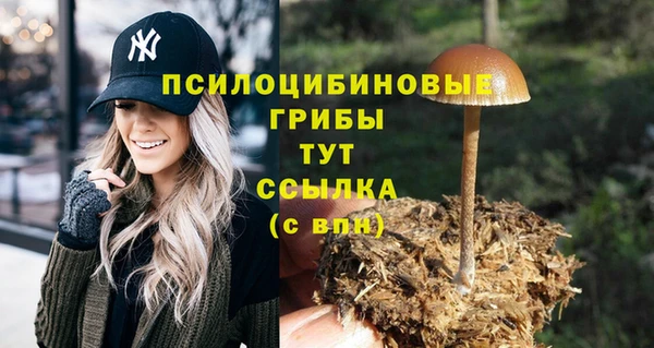 трава Михайлов